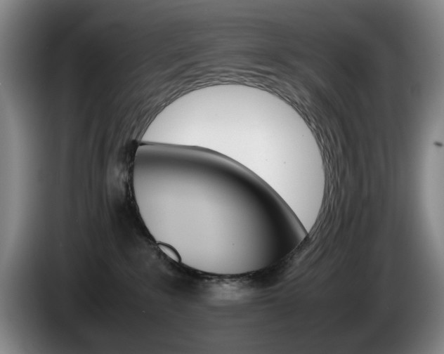 X0000085310235200703091101
