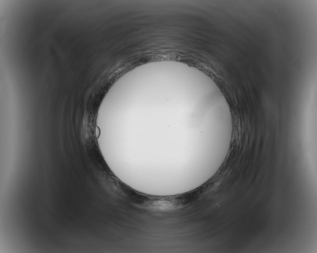 X0000085310236200703091101