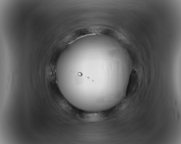 X0000085310237200703091100