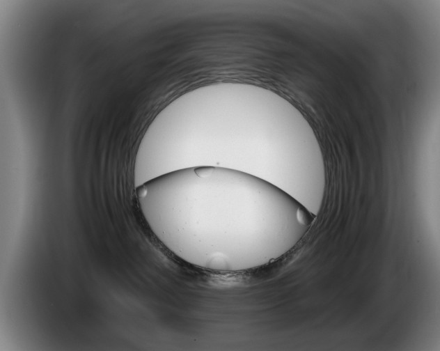 X0000085310238200703091100