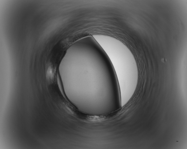 X0000085310239200703091100