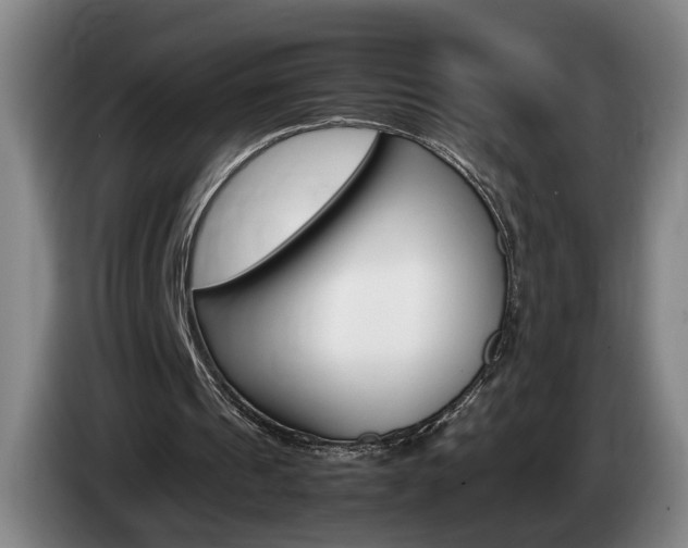 X0000085310241200703091100