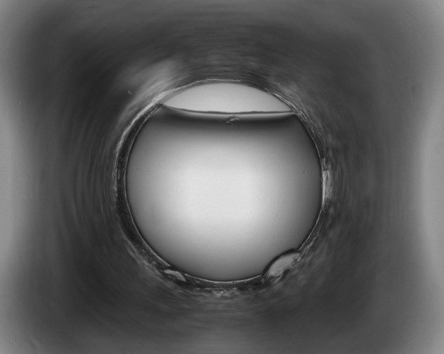 X0000085310243200703091100