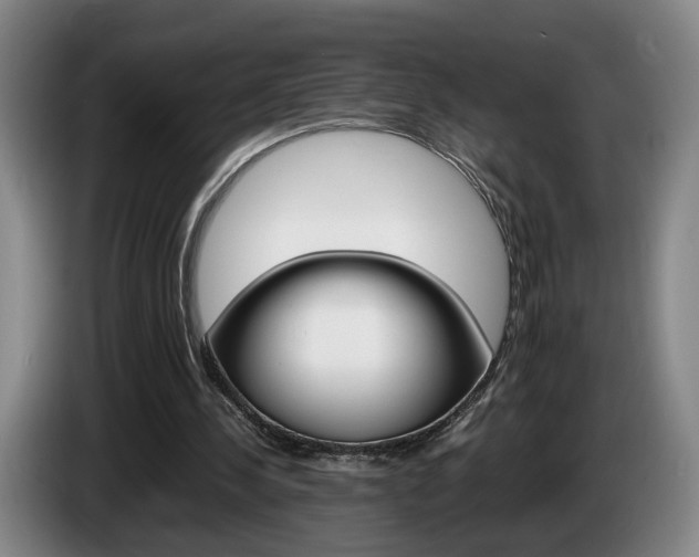 X0000085310244200703091100