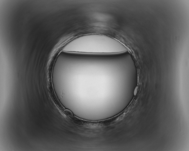 X0000085310245200703091100