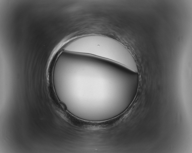 X0000085310246200703091100