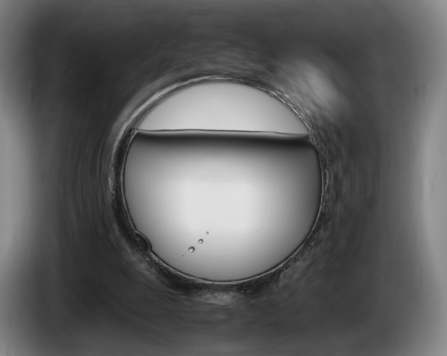 X0000085310247200703091100