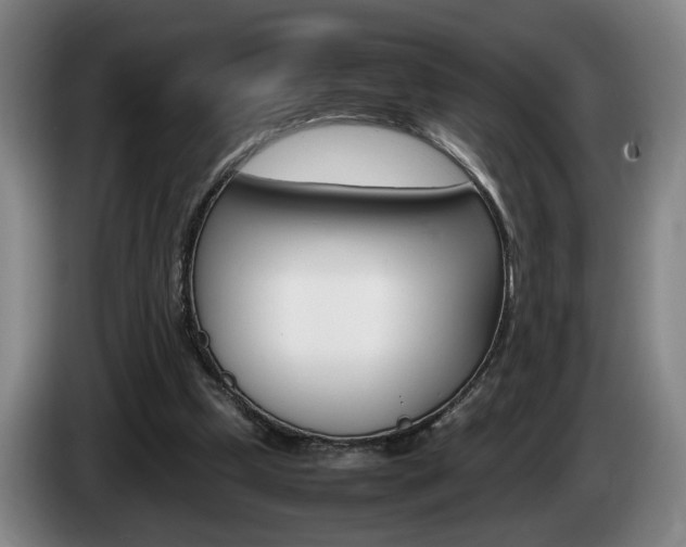 X0000085310249200703091100