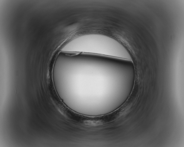 X0000085310251200703091100