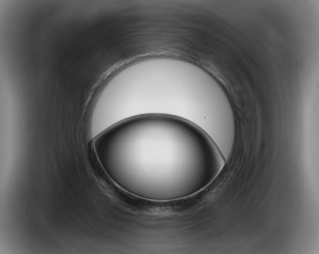 X0000085310252200703091100