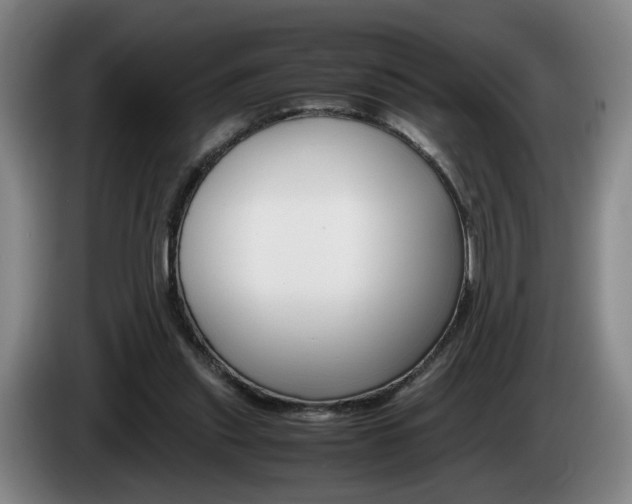 X0000085310253200703091100