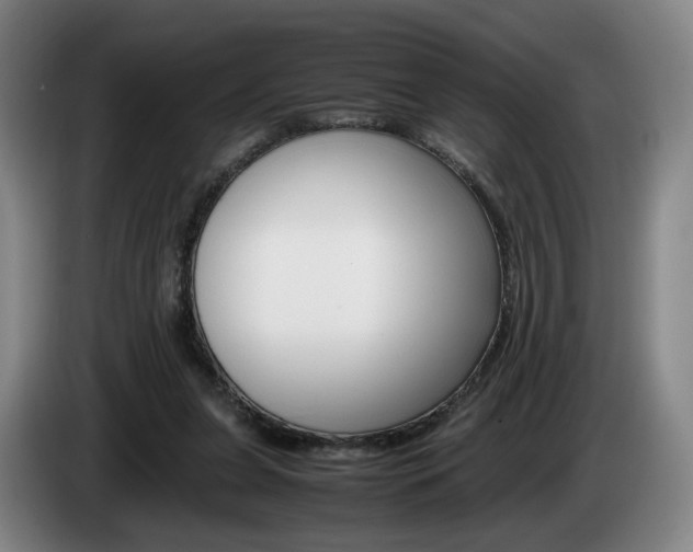 X0000085310255200703091100