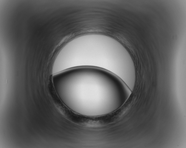 X0000085310256200703091100