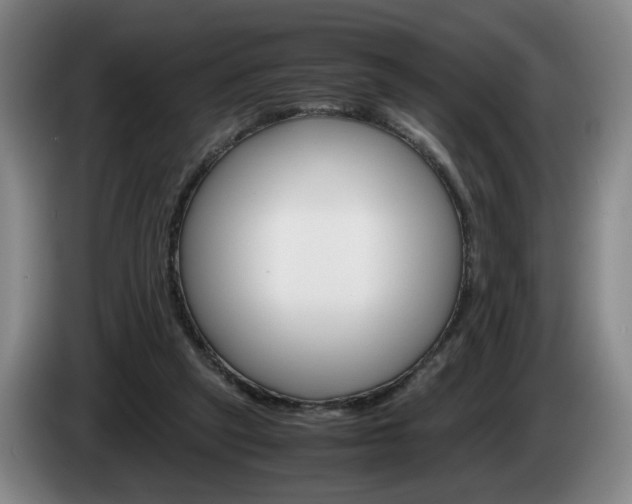 X0000085310257200703091100