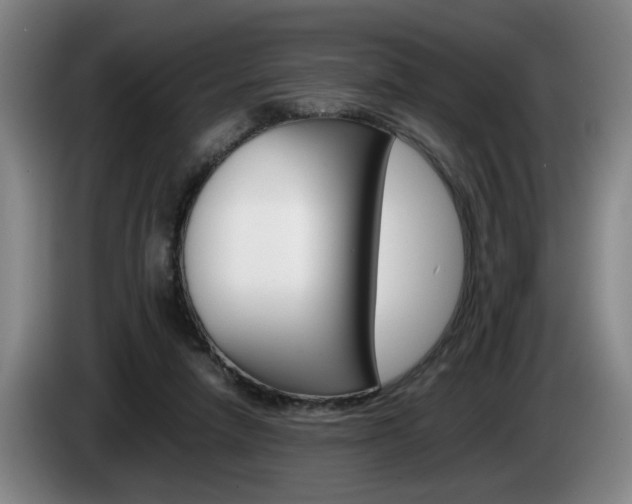 X0000085310258200703091100