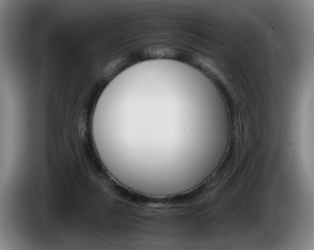X0000085310259200703091100