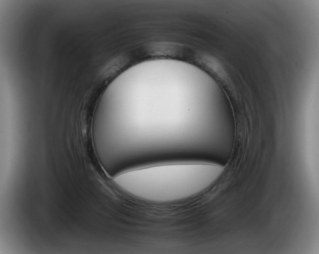 X0000085310261200703091100
