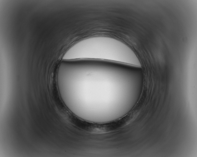 X0000085310263200703091100