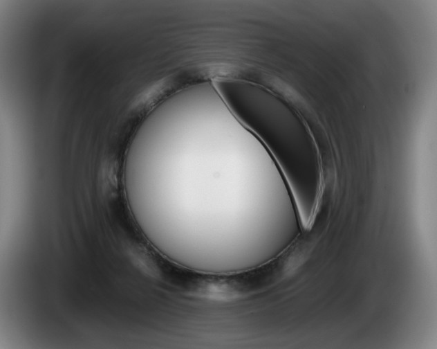 X0000085310264200703091100