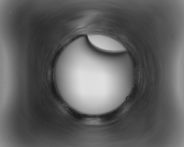 X0000085310266200703091100