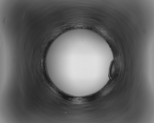 X0000085310269200703091100