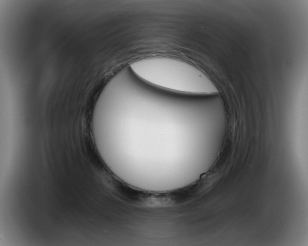 X0000085310270200703091100