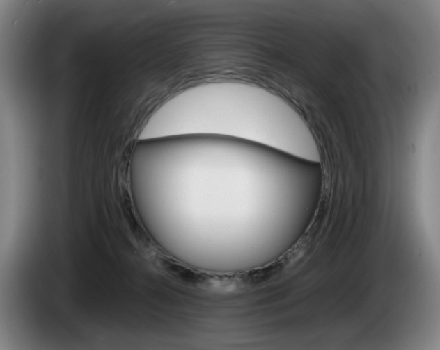 X0000085310272200703091100