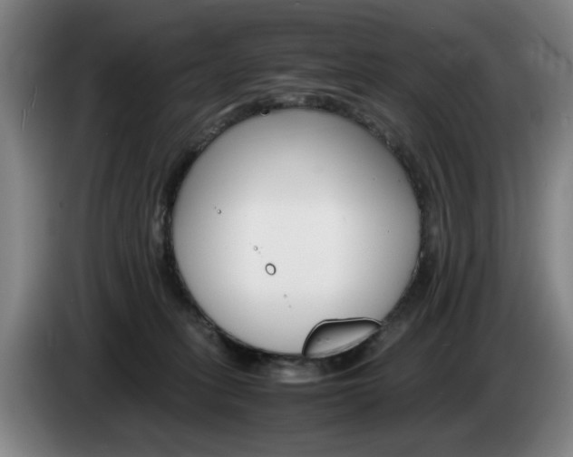 X0000085310275200703091100
