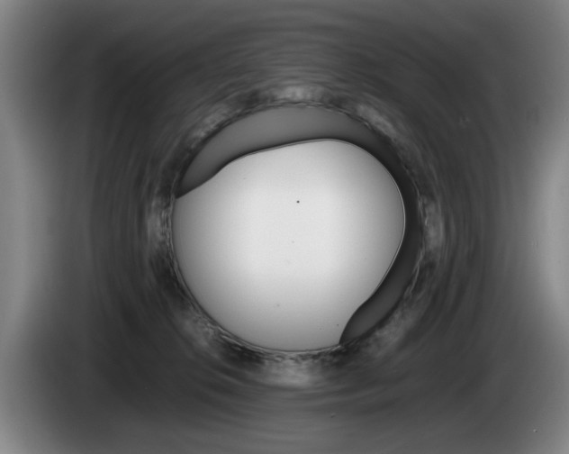 X0000085310276200703091100