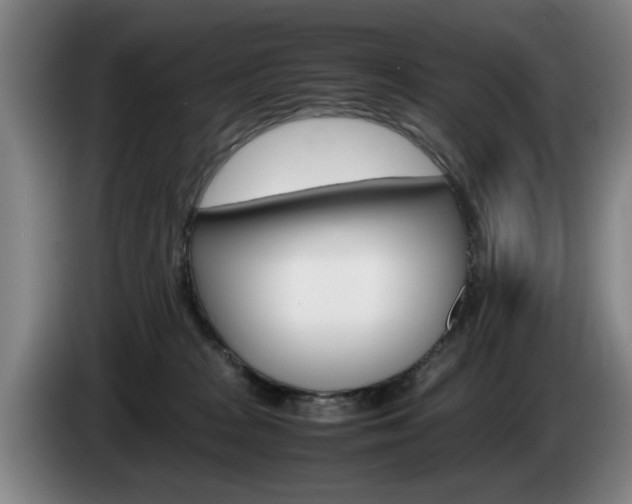X0000085310277200703091100