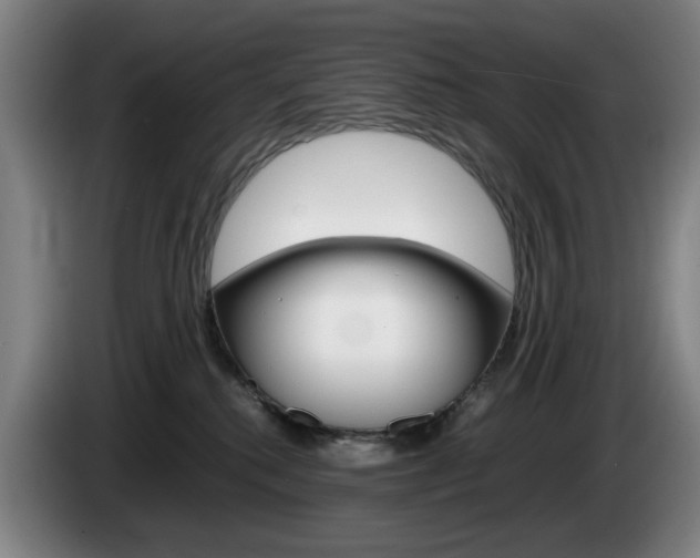X0000085310280200703091100