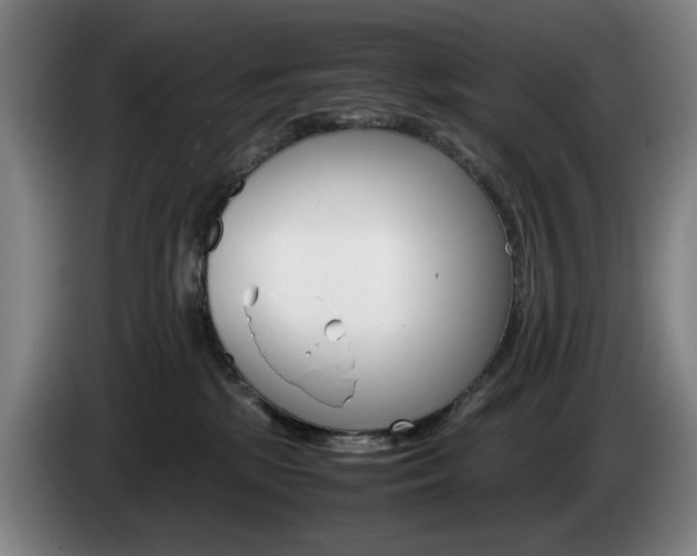 X0000085310281200703091100