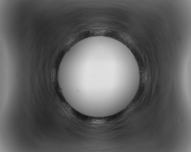 X0000085310283200703091100