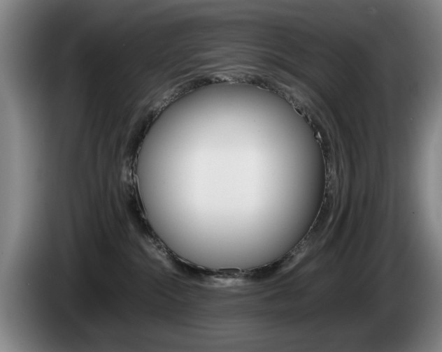 X0000085310284200703091100