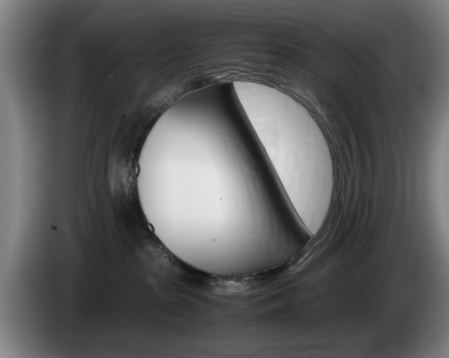 X0000085310285200703091100
