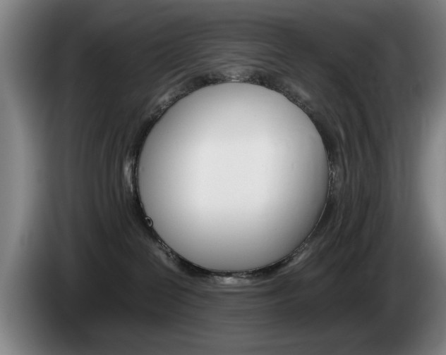 X0000085310286200703091100