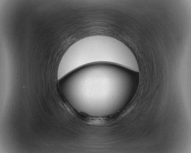 X0000085310288200703091100