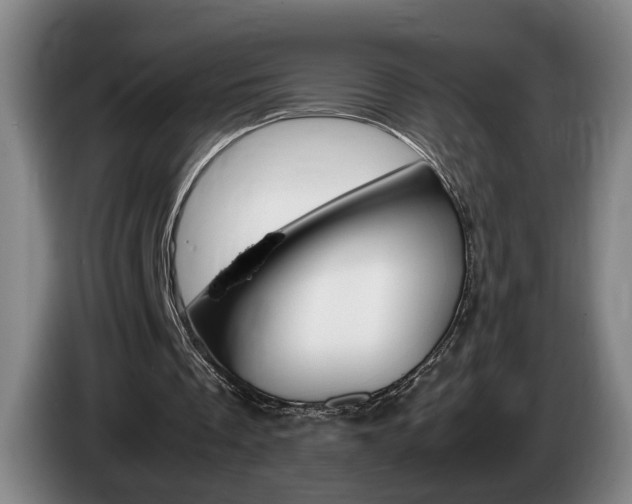 X0000085310289200703091100