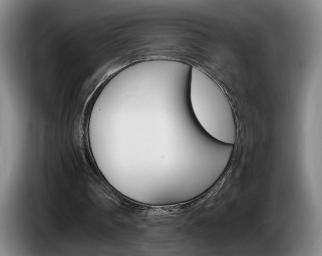 X0000085310290200703091100