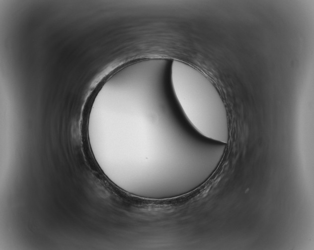 X0000085310292200703091100