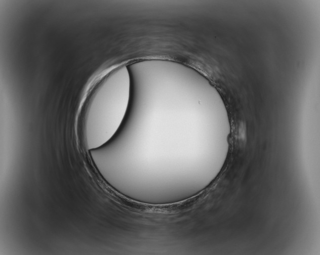 X0000085310294200703091100