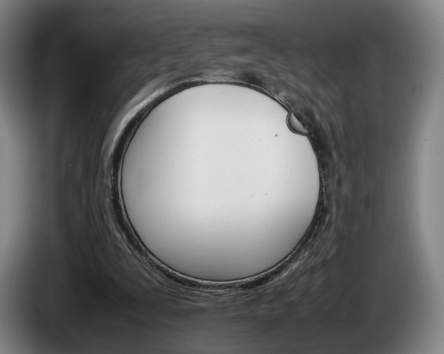 X0000085310295200703091100