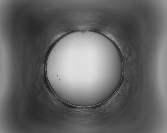 X0000085310297200703091100