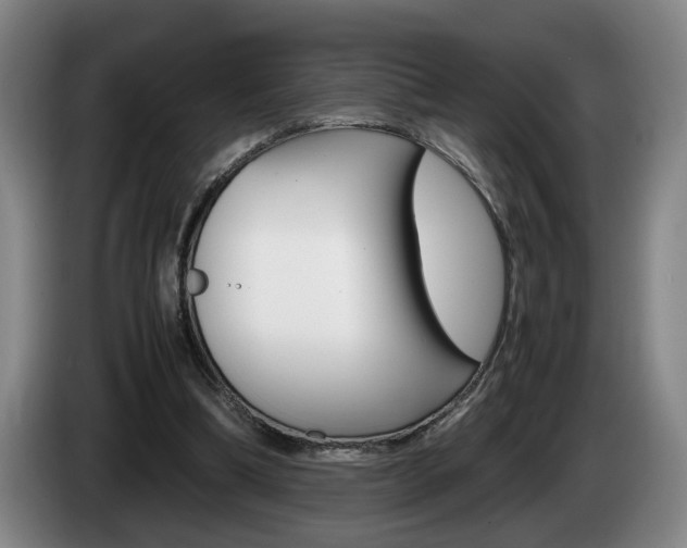 X0000085310298200703091100