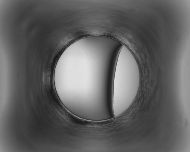X0000085310299200703091100