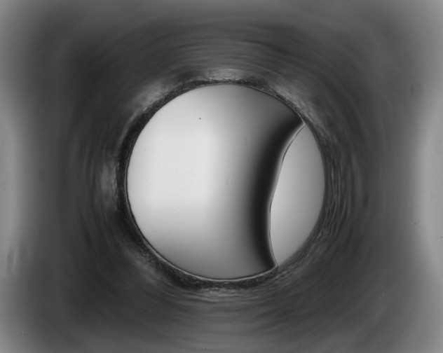 X0000085310300200703091100