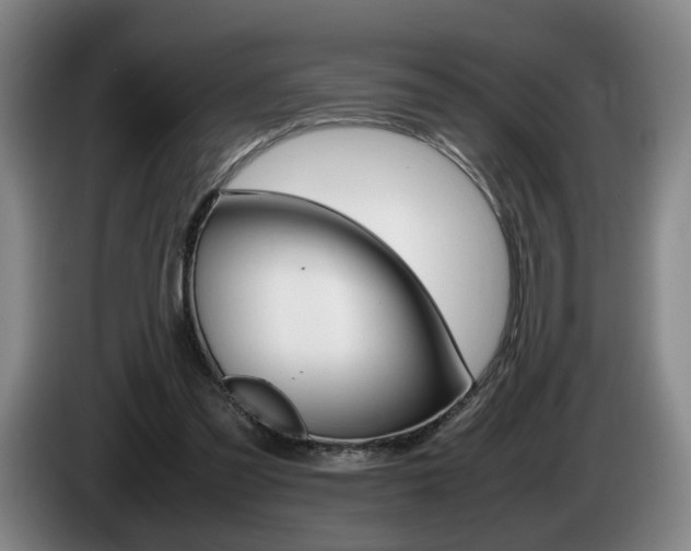 X0000085310301200703091100