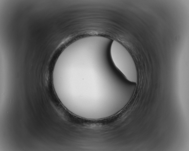 X0000085310304200703091100