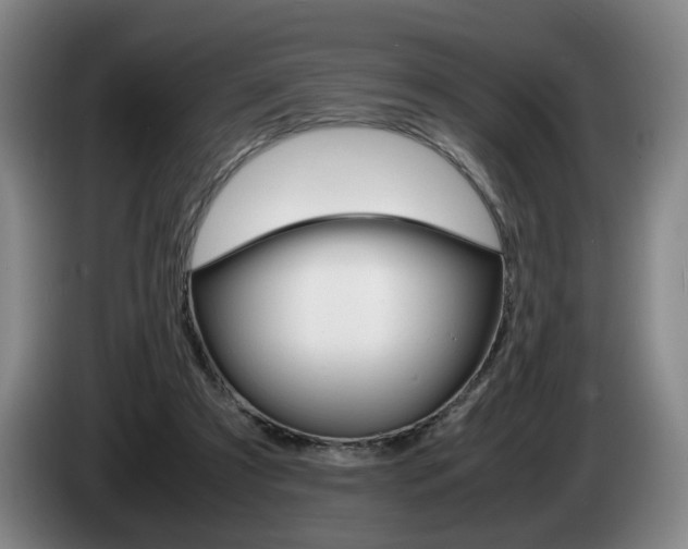 X0000085310305200703091100