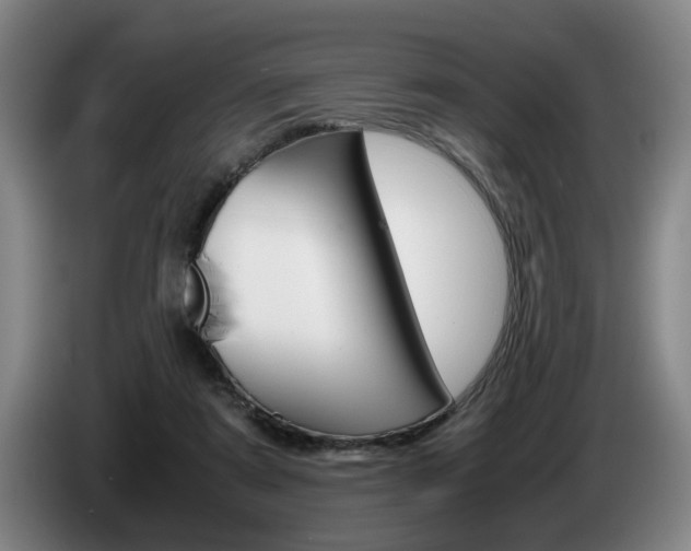 X0000085310307200703091100
